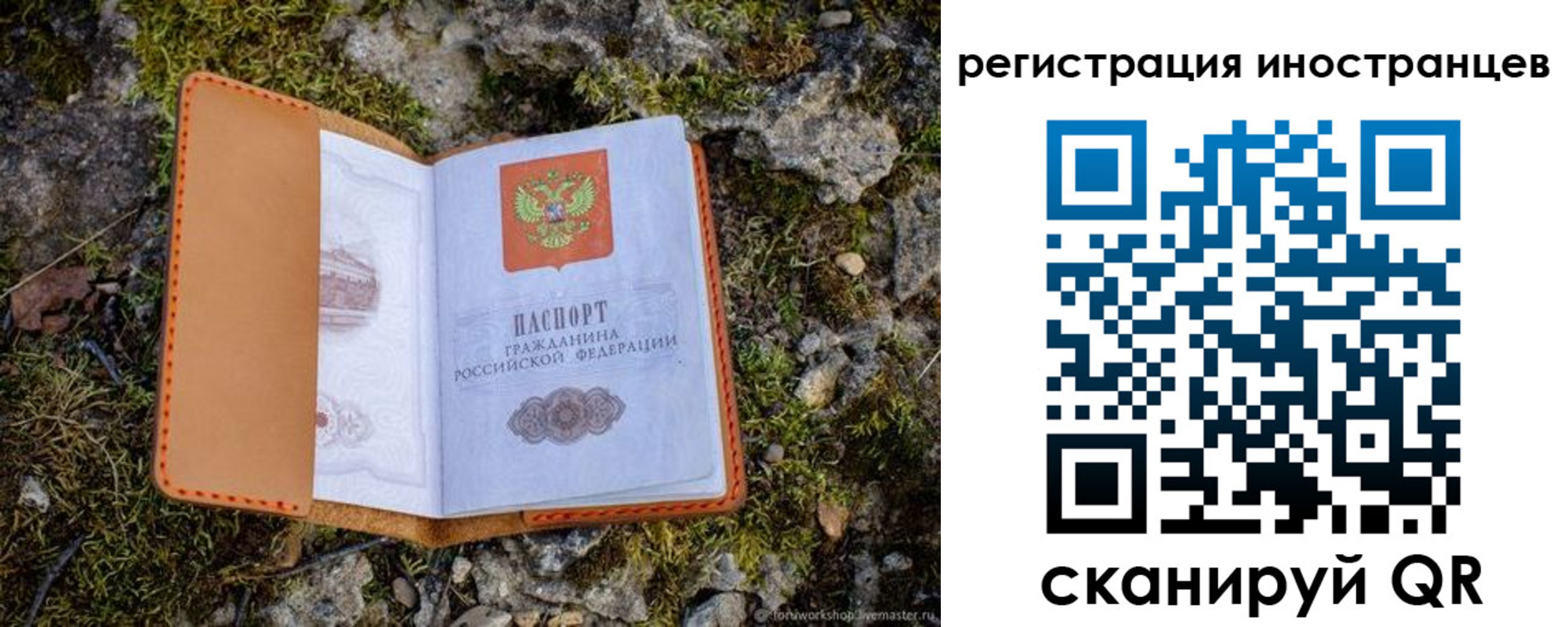 прописка паспорт в Губкинском